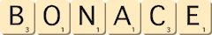 bonace bonace