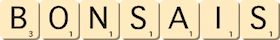 bonsais bonsais