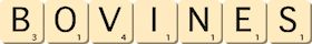 bovines