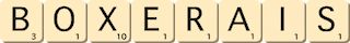 boxerais boxerais