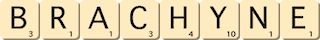 brachyne