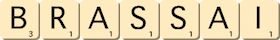 brassai brassai