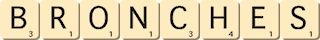 bronches