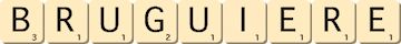 bruguiere