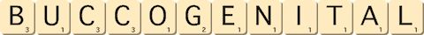 bucco-genital bucco-genital