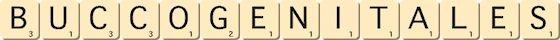 bucco-genitales bucco-genitales