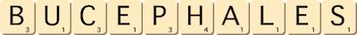 bucephales bucephales