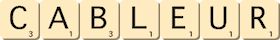 cableur cableur