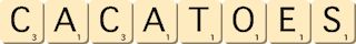 cacatoes cacatoes