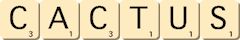 cactus cactus