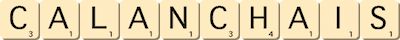 calanchais calanchais