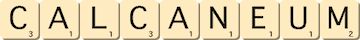 calcaneum