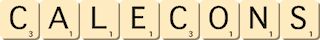 calecons calecons