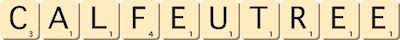 calfeutree calfeutree
