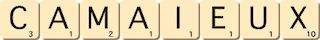 camaieux camaieux