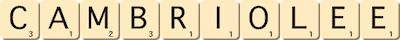 cambriolee cambriolee
