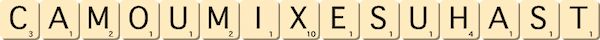 camou-mixe-suhast