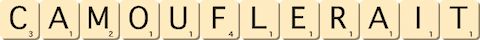 camouflerait camouflerait