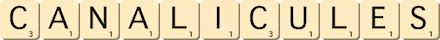 canalicules canalicules