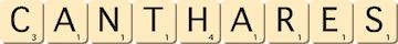 canthares canthares