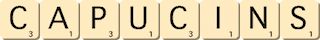 capucins capucins