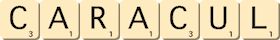caracul caracul