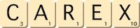 carex carex