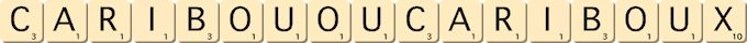 caribou-ou-cariboux