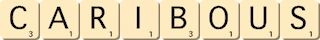 caribous caribous