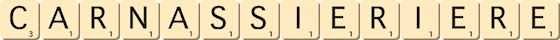 carnassier--iere
