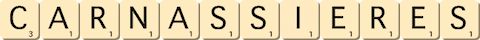 carnassieres carnassieres
