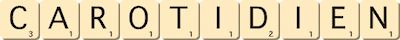 carotidien