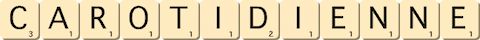 carotidienne carotidienne