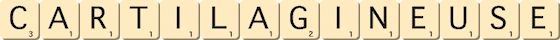 cartilagineuse cartilagineuse