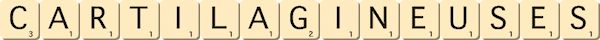 cartilagineuses cartilagineuses