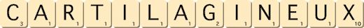 cartilagineux cartilagineux