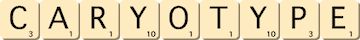 caryotype caryotype