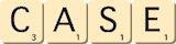 case case