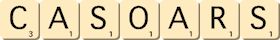 casoars casoars
