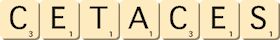 cetaces cetaces
