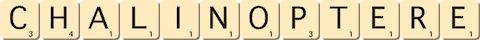 chalinoptere