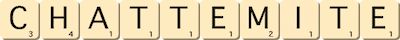 chattemite chattemite