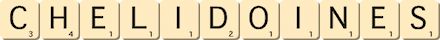 chelidoines chelidoines