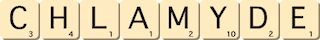 chlamyde chlamyde