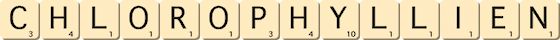 chlorophyllien chlorophyllien