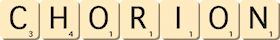 chorion