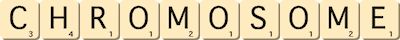 chromosome chromosome