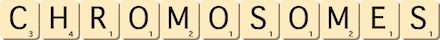 chromosomes chromosomes