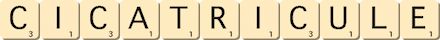 cicatricule