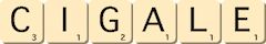 cigale